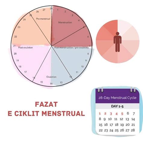 Dec 28, 2017 Sekrecionet vaginale jan krejtsisht normale pr grat. . Menstruacionet e kafta pas ciklit